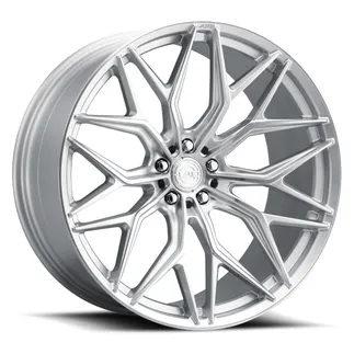 ESR FR80 22X9.0 ET BLANK (BLANK / 57.1) - Diamond Silver